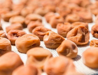 茨城フェアin高島屋 日本橋店 梅干し((株)吉田屋)