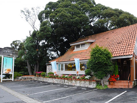 シフォンケーキ工房　樹里