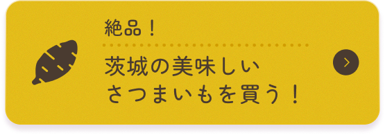 絶品 茨城の美味しいさつまいもを買う!