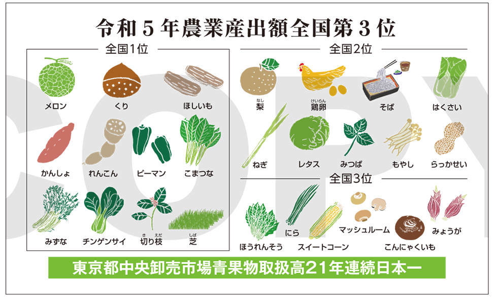 令和5年農業産出額 全国第3位