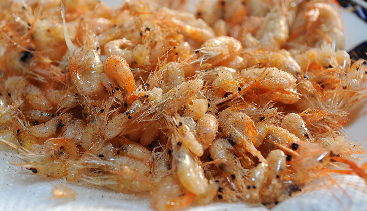 香り際立つ万能食材！「テナガエビ」