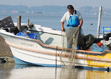香り際立つ万能食材！「テナガエビ」選別作業
