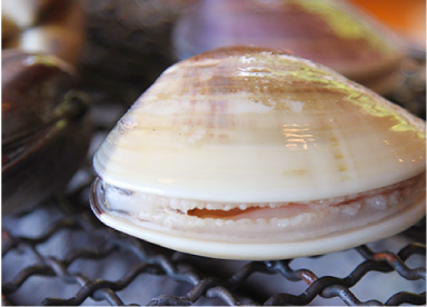 「鹿島灘はまぐり」網焼き（焼きはまぐり）