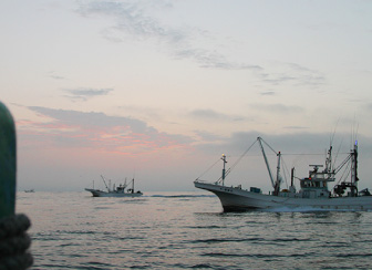 はまぐり漁 水深4～6m程の浅い沿岸部 はまぐりの漁場