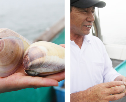 潮干狩りで獲れるはまぐりとは比較にならない程大きな「鹿島灘はまぐり」