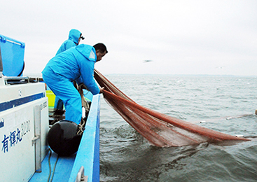 トロール漁「網上げ」の様子
