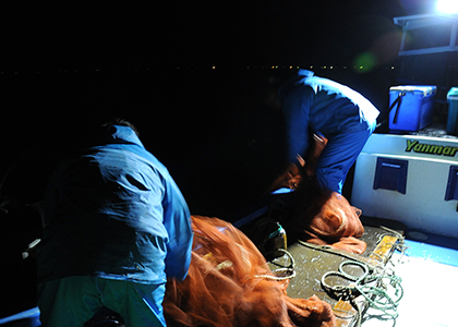 夜間操業の様子