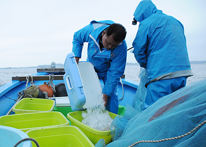 常に氷は絶やさない