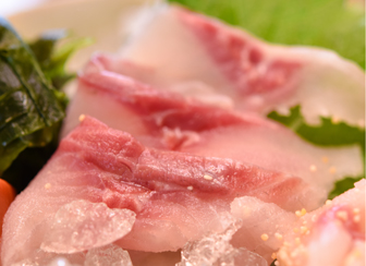 霞ヶ浦北浦の鯉　鯉のあらい