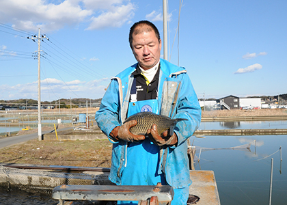 全国一の生産量を誇る茨城の「コイ」