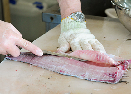 「凍結コイフィレ」ができるまで