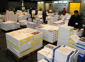 地方市場の最先端を行く！水戸市公設地方卸売市場