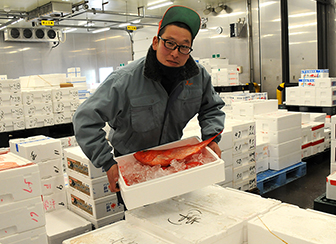 地方市場の最先端を行く！水戸市公設地方卸売市場