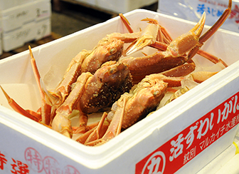 地方市場の最先端を行く！水戸市公設地方卸売市場