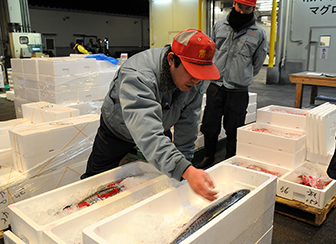 地方市場の最先端を行く！水戸市公設地方卸売市場