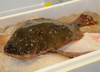 水戸市公設地方卸売市場 茨城の魚「常磐もの(じょうばんもの)」の魅力