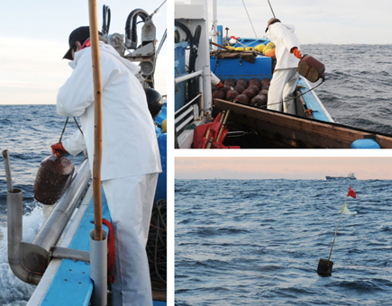 鹿島たこ　船上・漁レポート