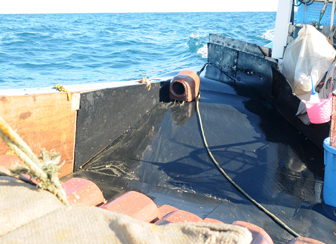 鹿島たこ　船上・漁レポート