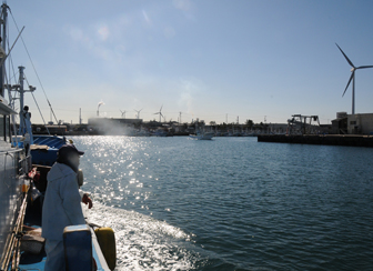 鹿島たこ　船上・漁レポート