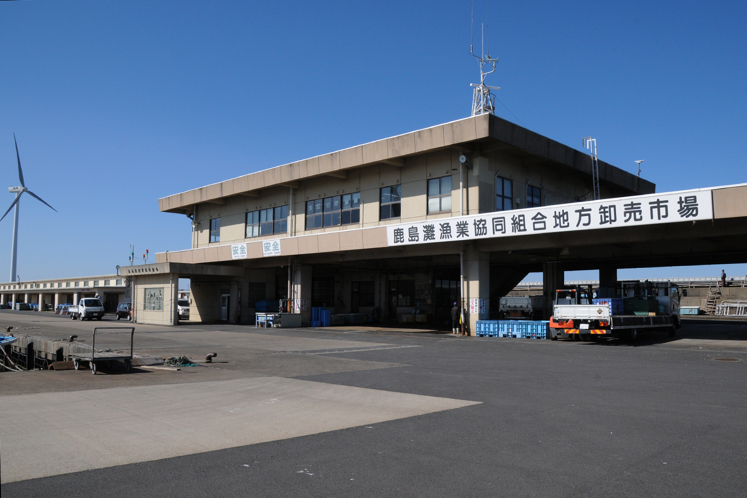 鹿島たこ　水揚げ～入札