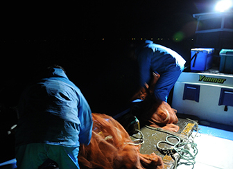 霞ヶ浦のダイヤモンド「寒曳きシラウオ」霞ヶ浦水産研究会 熟練の操船技術