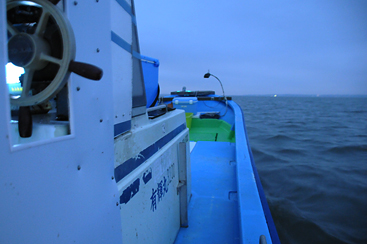 霞ヶ浦のダイヤモンド「寒曳きシラウオ」霞ヶ浦水産研究会 鮮度が命！短期決戦の漁