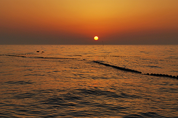 茨城の海を彩る赤い高級魚「タイ」網と綱の魔術、定置網漁