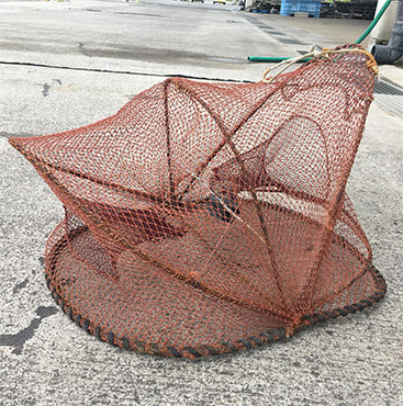 合かご漁業の「かご」