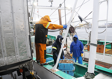 トラックを船に横付け