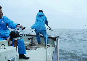 上品で淡白な味わい！霞ヶ浦・北浦の「わかさぎ」技術の継承