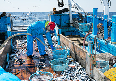 速やかに海水で洗い流す