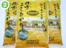 行方こしひかり