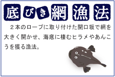 八千代町の白菜