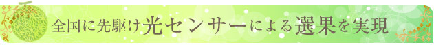 全国に先駆け光センサーによる選果を実現