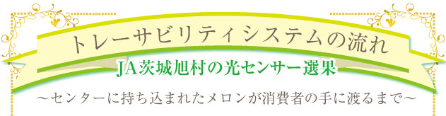 ＪＡ茨城旭村の光センサー選果～センターに持ち込まれたメロンが消費者の手に渡るまで～