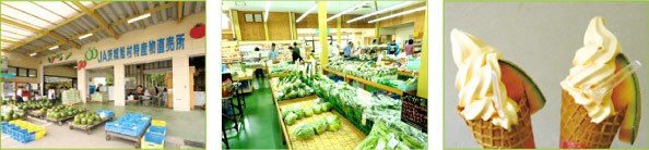 サングリーン旭