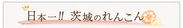 日本一！茨城のれんこん