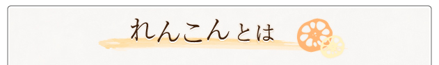 れんこんとは