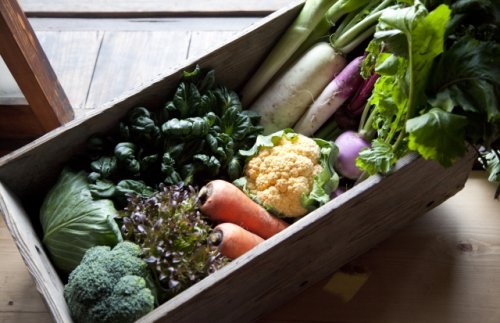 木の里農園(このさとのうえん)