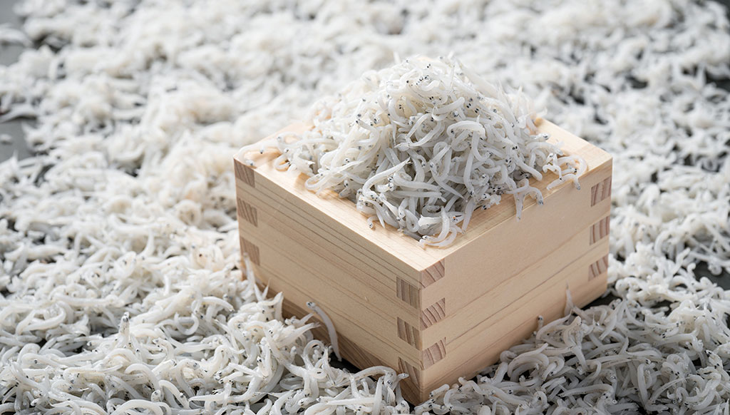 常陸乃国しらす特集