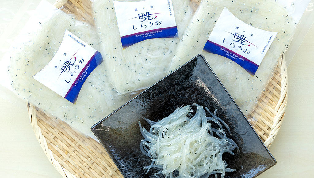 「霞ヶ浦 暁のしらうお」特集