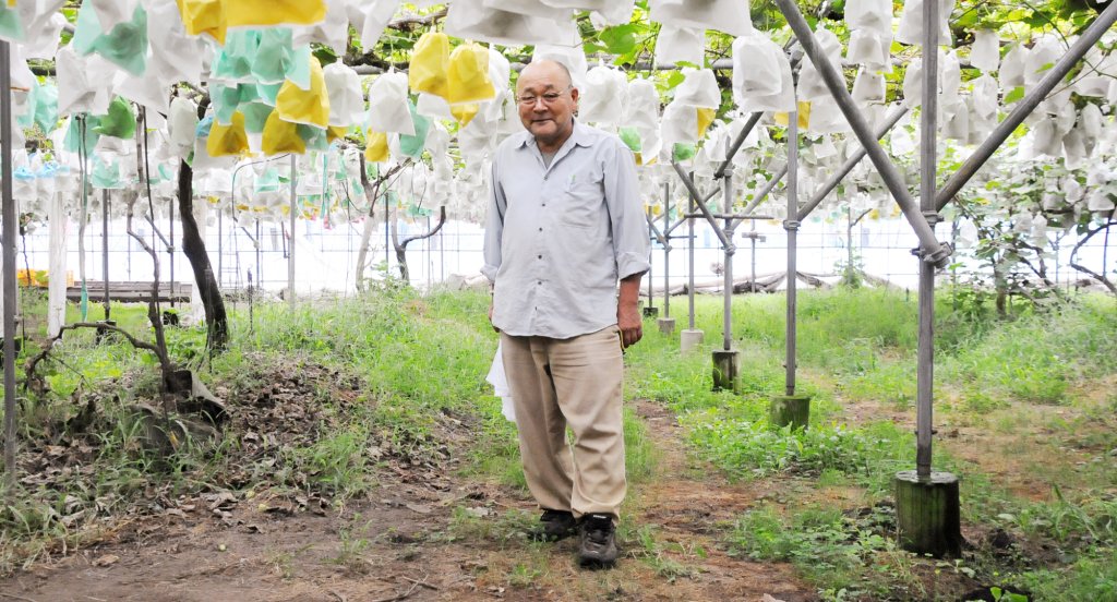 安心して食べてもらえるぶどうを目指して 圷正敏