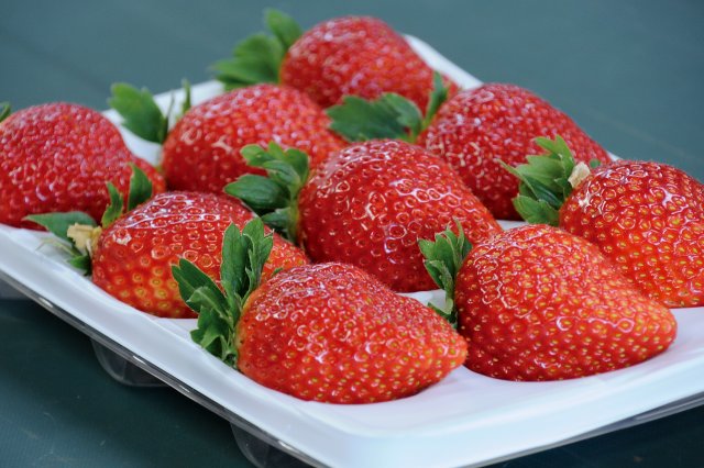 村田さん家のいちご