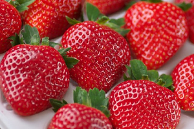 村田さん家のいちご