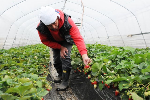 八木岡岳暁さん