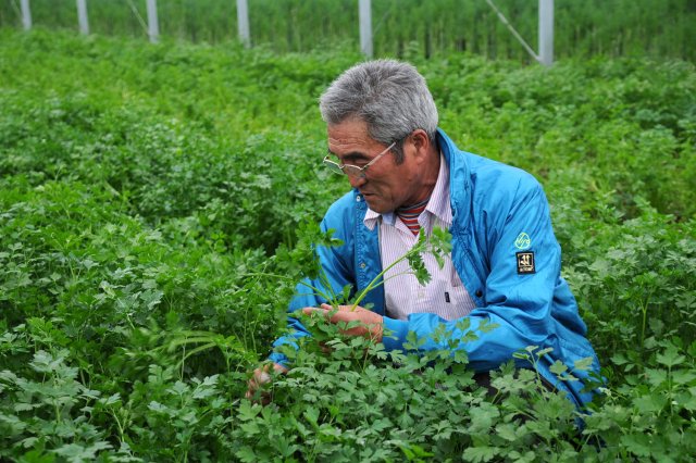 シモタファーム　霜多増雄さん