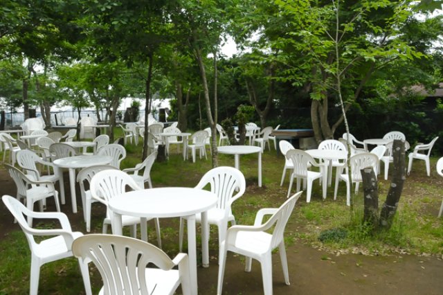 フォレストパークメロンの森