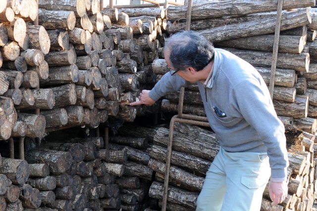 高橋農園　高橋恭嗣さん