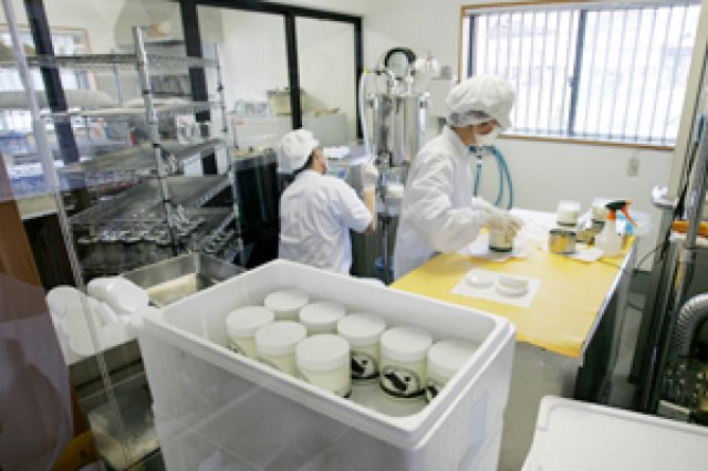 完全無添加のヨーグルト2