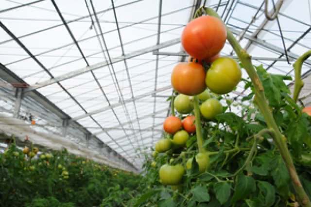 環境のコントロール2